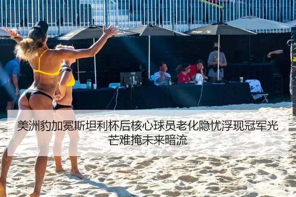 美洲豹加冕斯坦利杯后核心球员老化隐忧浮现冠军光芒难掩未来暗流
